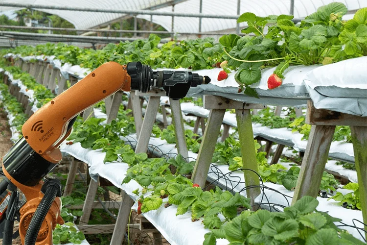 Robotics in Precision Agriculture